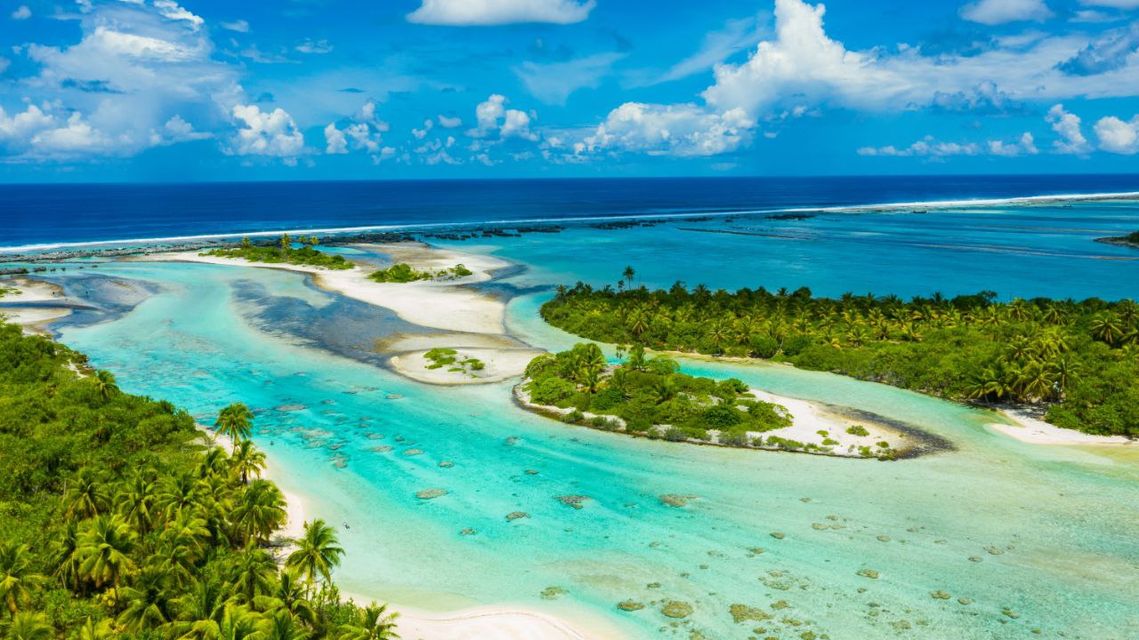 Snorkeling in Bora Bora